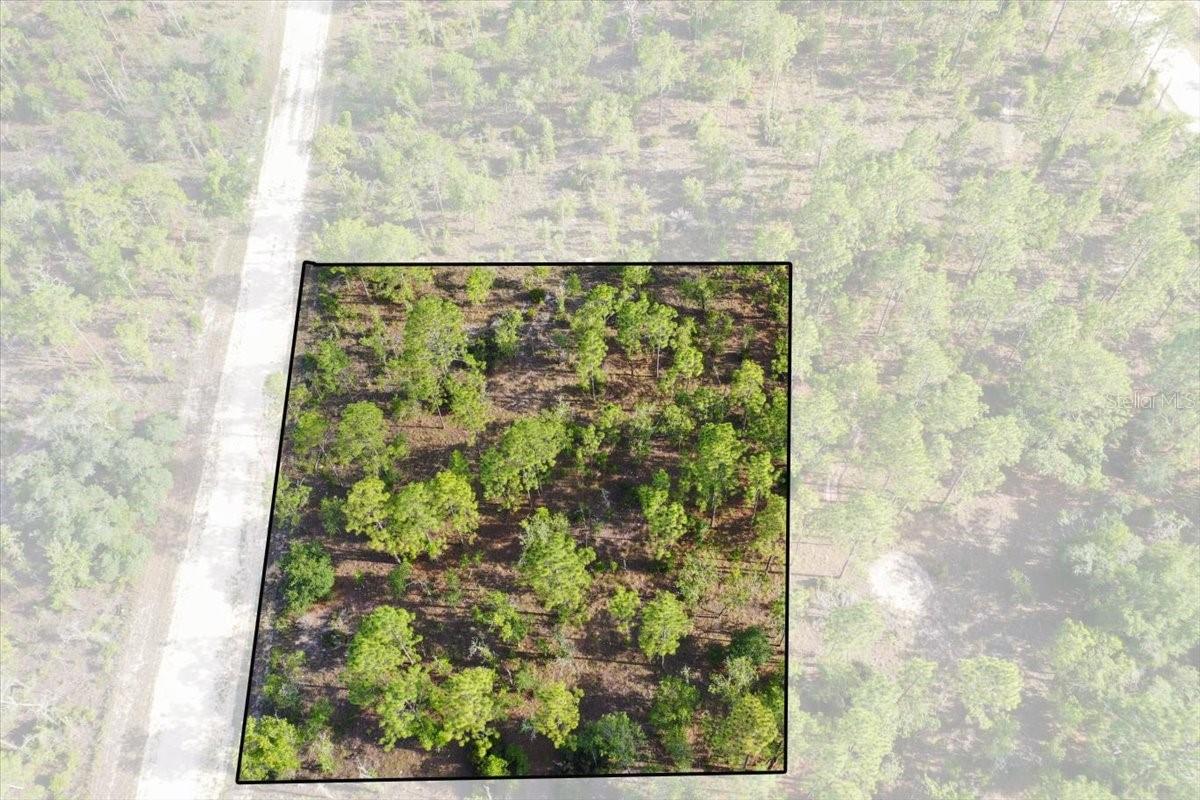 Photo of 0000 NE 132 TERRACE LOT 2 TERRACE WILLISTON FL 32696