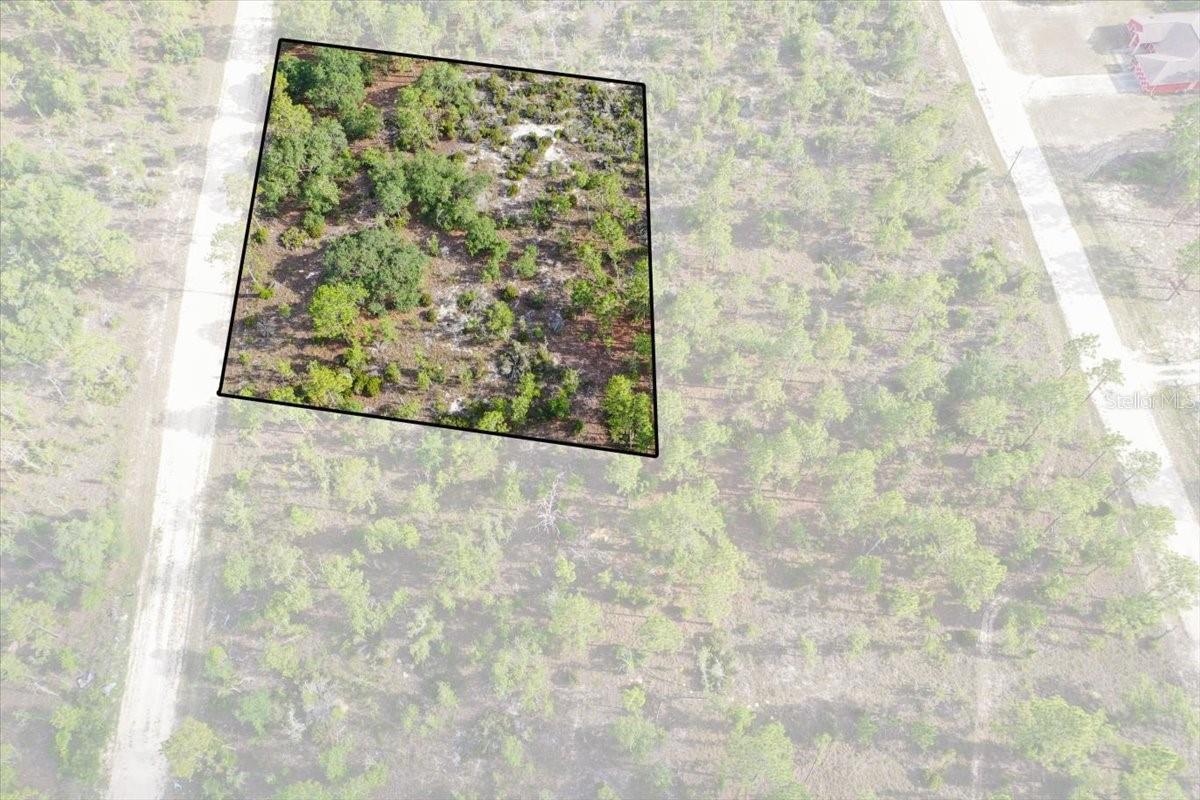 Photo of 0000 NE 132 TERRACE LOT 4 TERRACE WILLISTON FL 32696