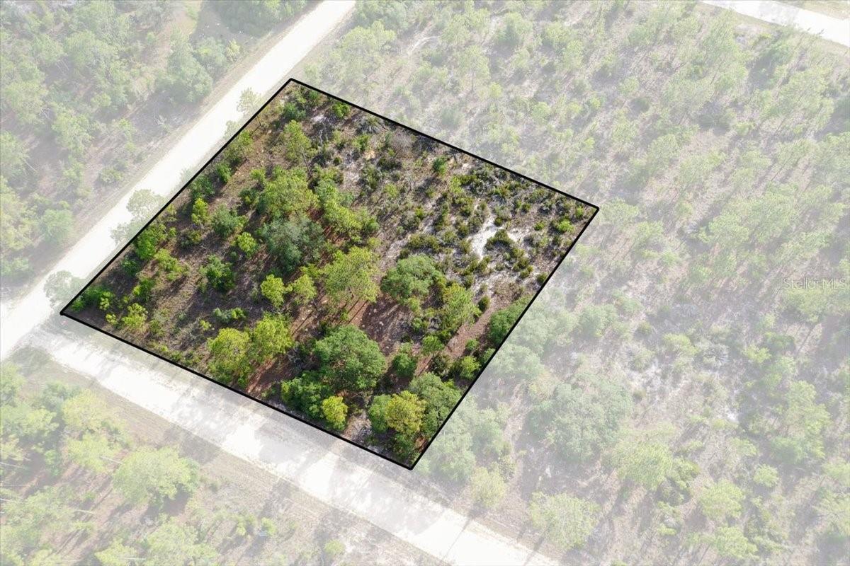 Photo of 0000 NE 132 TERRACE LOT 5 TERRACE WILLISTON FL 32696