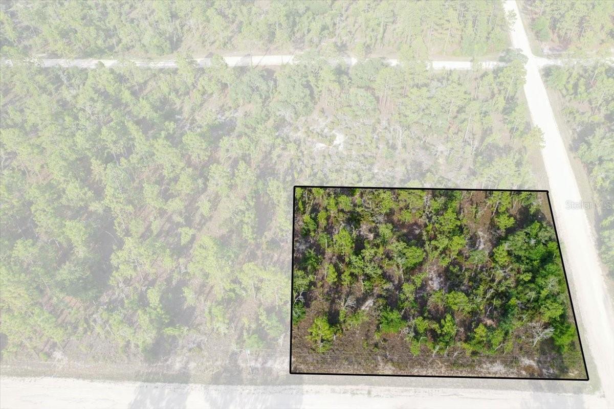 Photo of 0000 NE 131 TERRACE LOT 6 TERRACE WILLISTON FL 32696