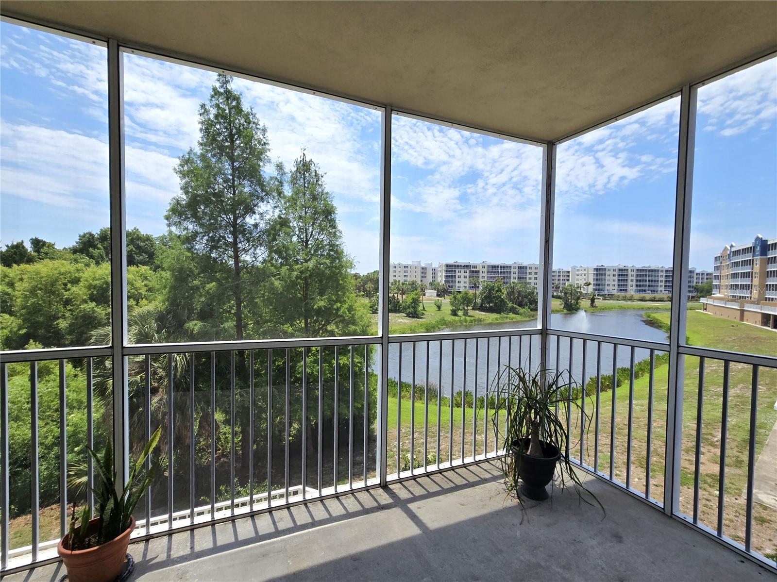 Photo of 960 STARKEY ROAD #9206 LARGO FL 33771
