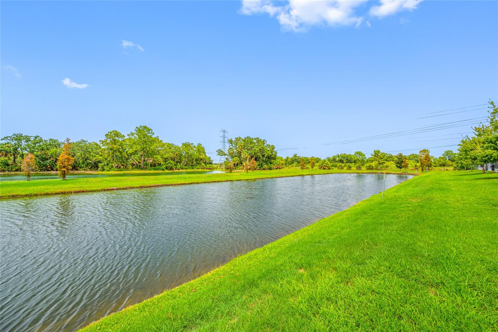 Photo of 7932 EVERGREEN CREEK COURT RIVERVIEW FL 33578