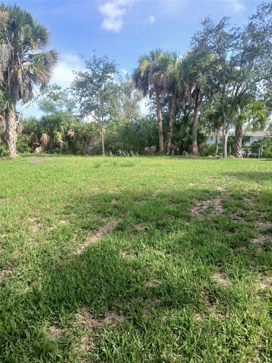 Photo of HILOLO LANE VENICE FL 34293