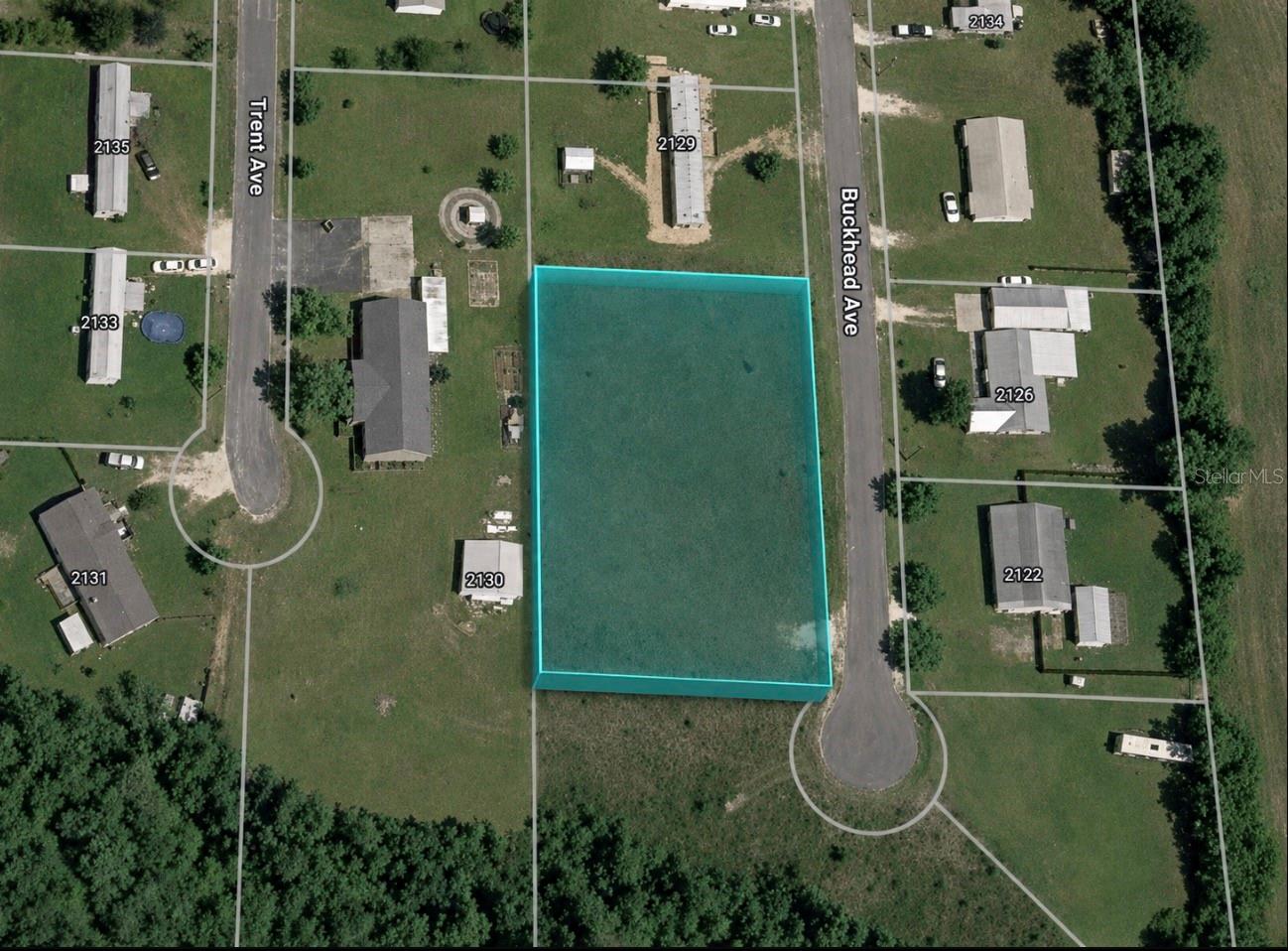 Photo of BUCKHEAD DRIVE GRAND RIDGE FL 32442