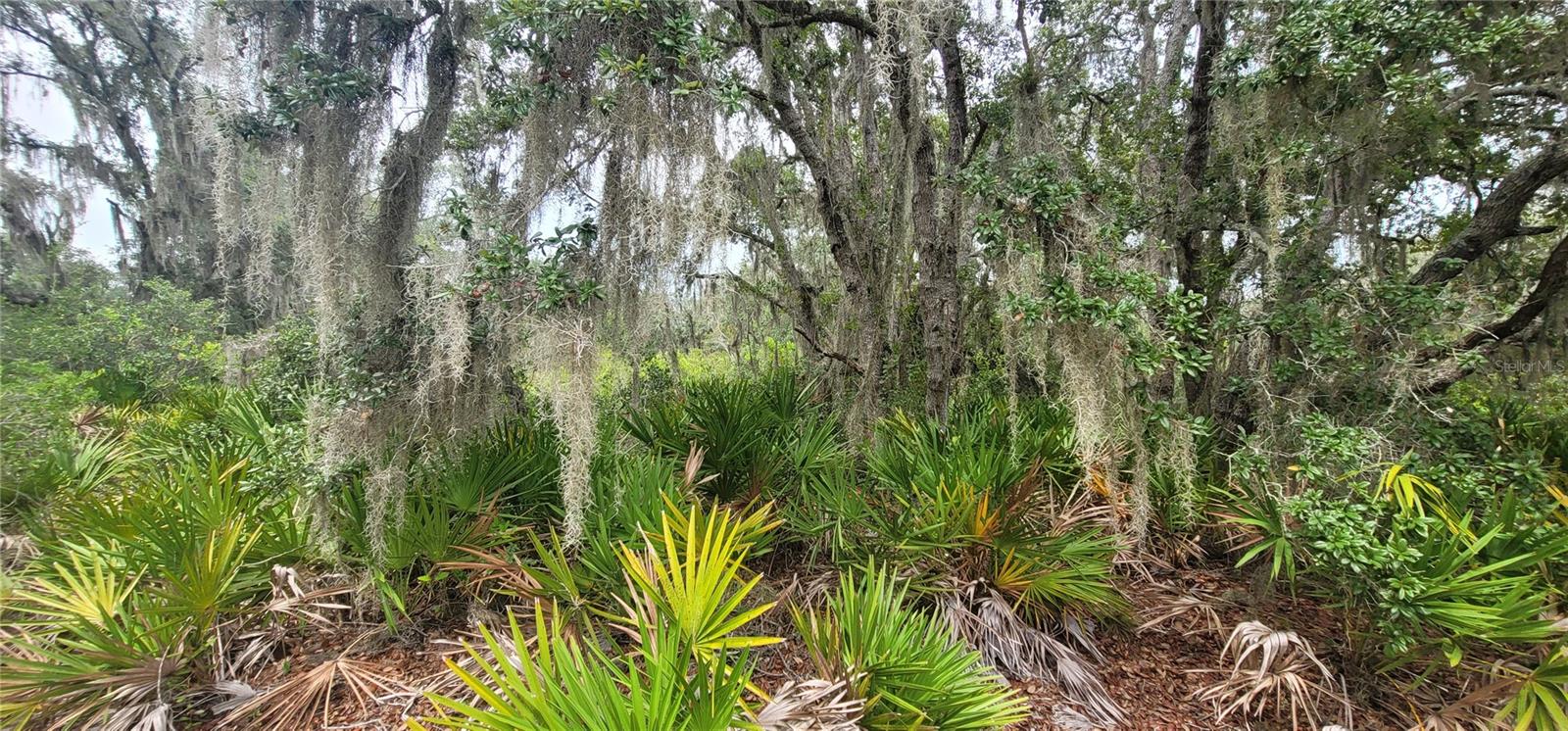 Photo of 200 RED FOX DRIVE SEBRING FL 33876