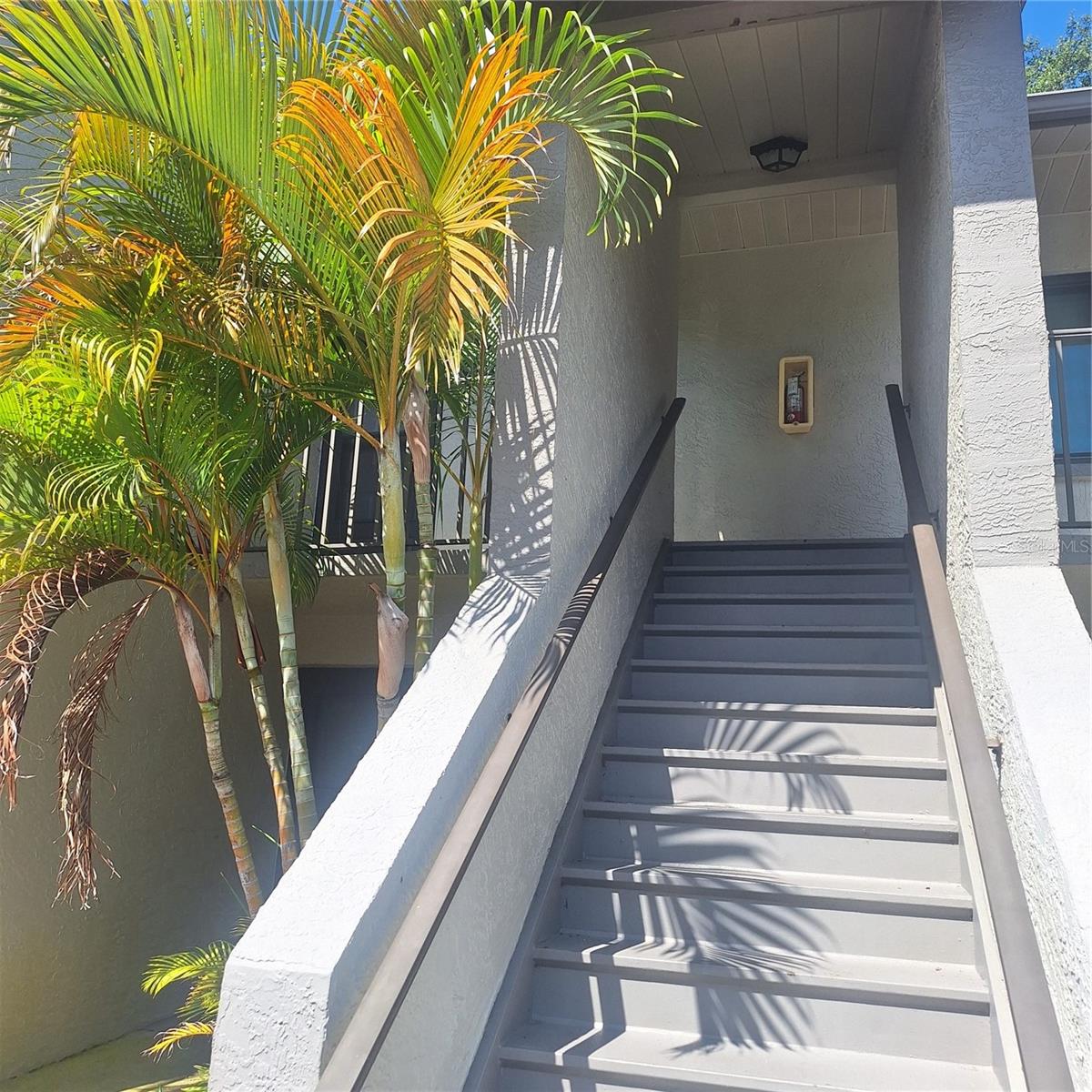 Photo of 2377 LAKE HEATHER HEIGHTS COURT #2377 DUNEDIN FL 34698