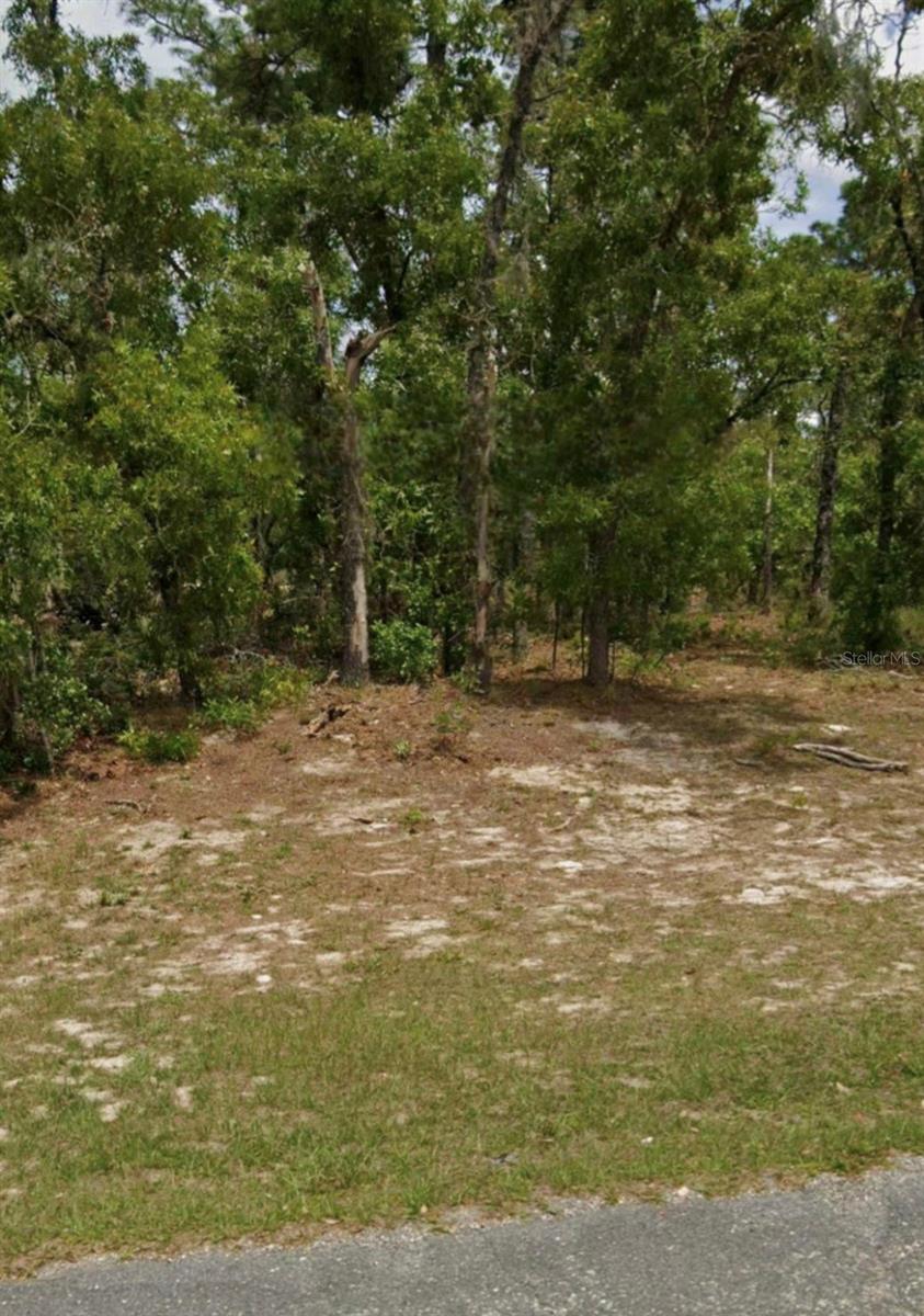 Photo of 5689 N SUMMERFIELD POINT DUNNELLON FL 34434