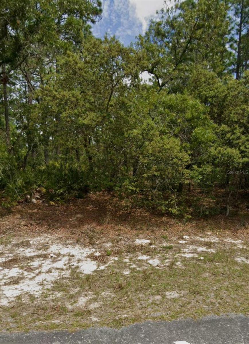 Photo of 5732 N SUMMERFIELD POINT DUNNELLON FL 34434