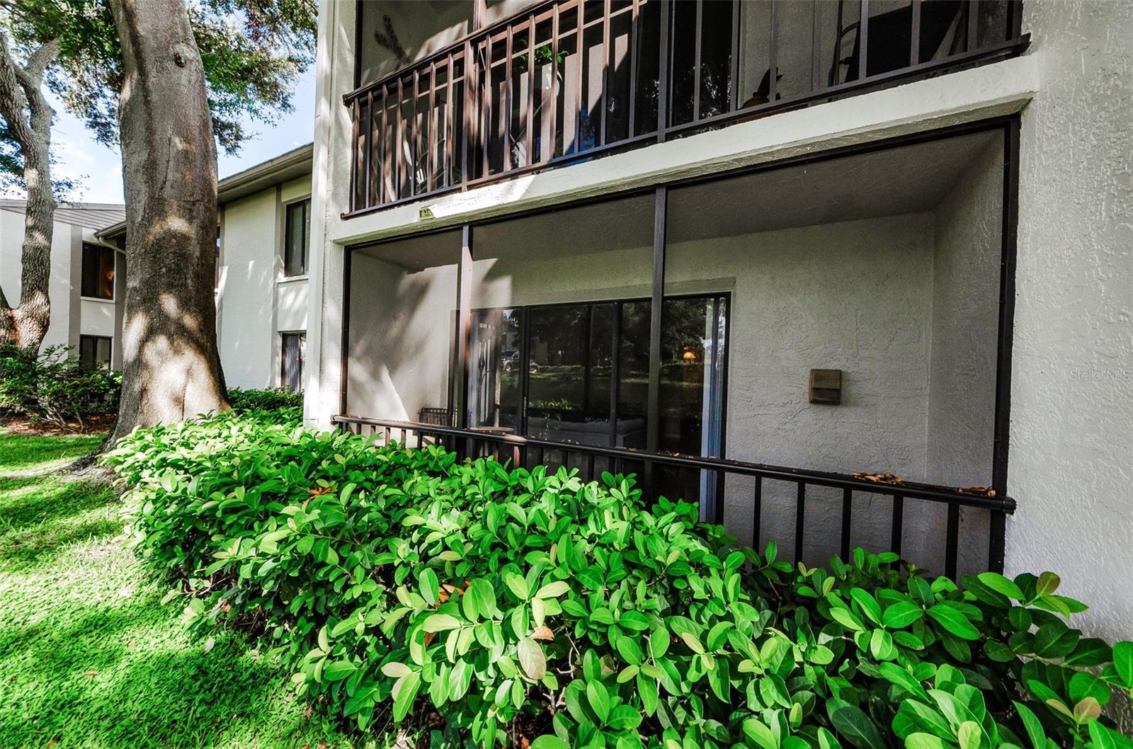 Photo of 2575 PINE RIDGE WAY #E1 PALM HARBOR FL 34684
