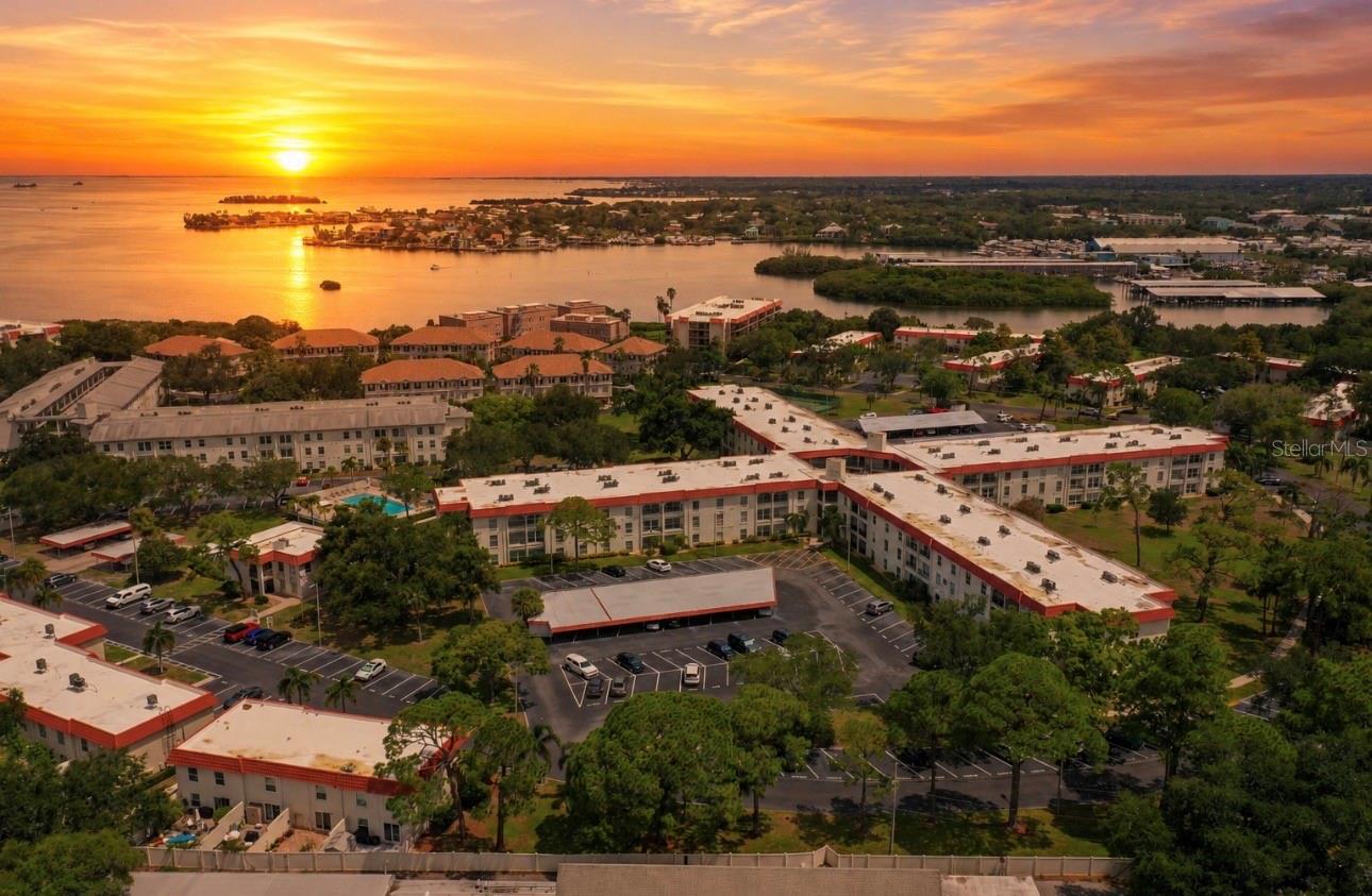 Photo of 2700 BAYSHORE BOULEVARD #2110 DUNEDIN FL 34698