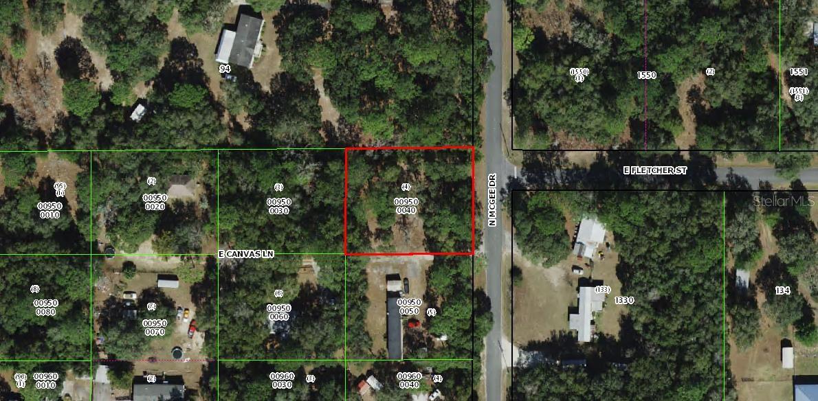 Photo of 2018 N MCGEE DRIVE HERNANDO FL 34442