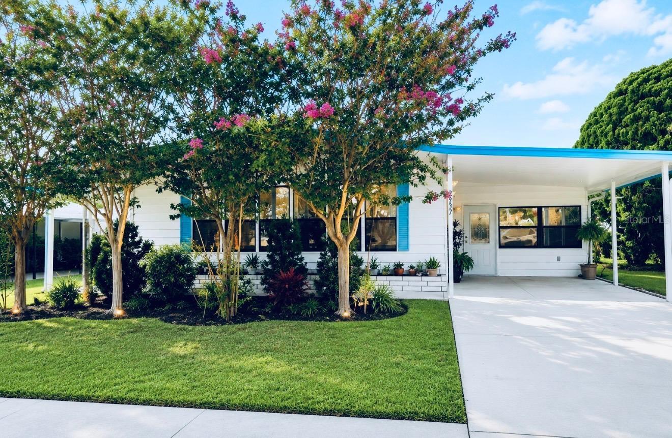 Photo of 3937 CHRIS DRIVE WESLEY CHAPEL FL 33543