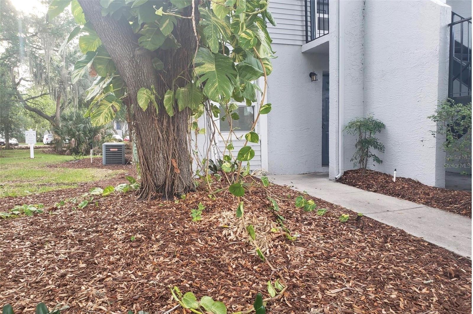 Photo of 7100 WATERSIDE DRIVE TAMPA FL 33617