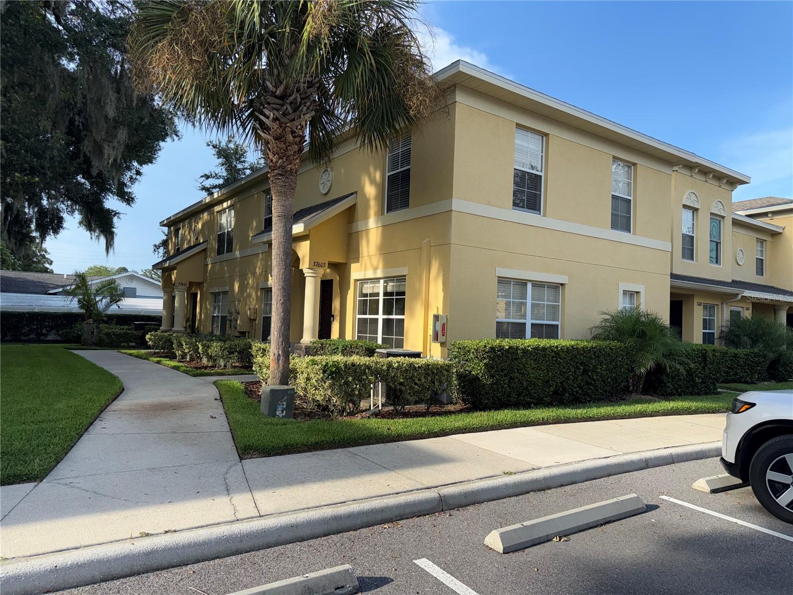 Photo of 37603 DALIHA TERRACE ZEPHYRHILLS FL 33542