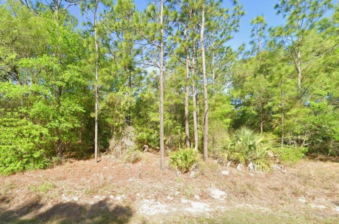 Photo of 8621 N BLACKTHORN AVENUE CRYSTAL RIVER FL 34428