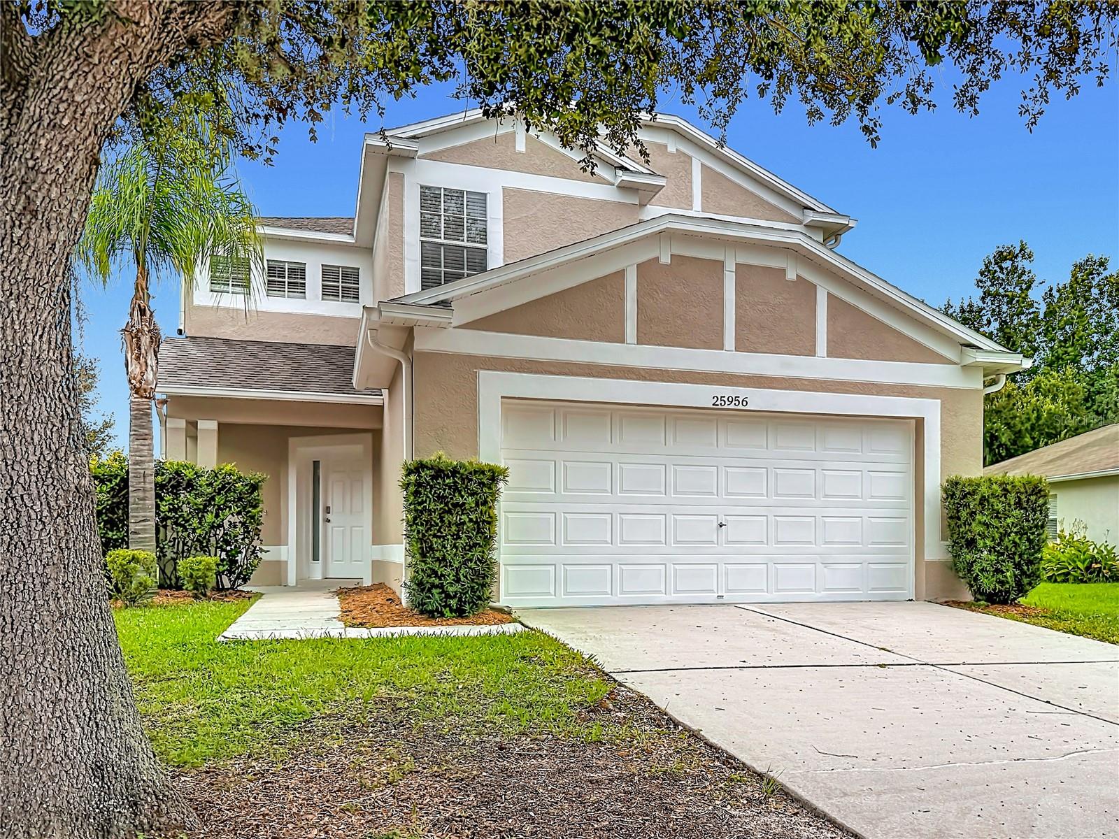 Photo of 25956 TERRAWOOD LOOP LAND O LAKES FL 34639