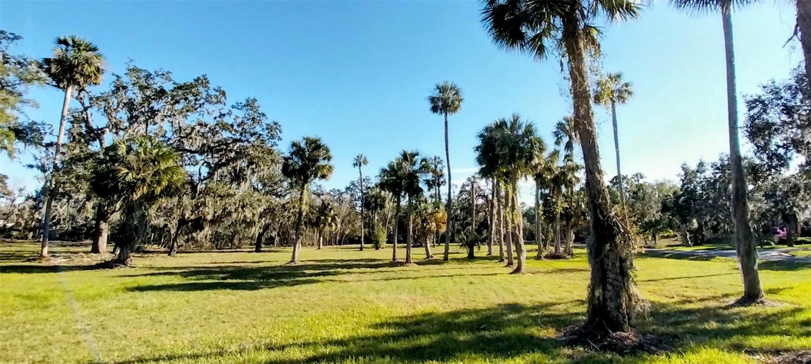 Photo of 11105 WINN ROAD RIVERVIEW FL 33569