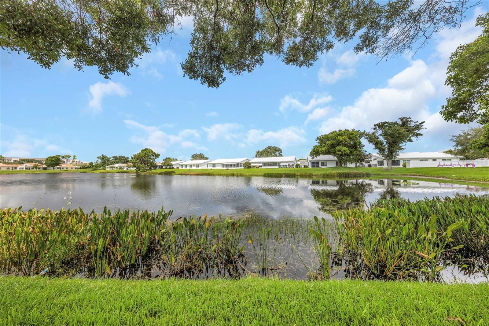 Photo of 9110 40TH WAY PINELLAS PARK FL 33782