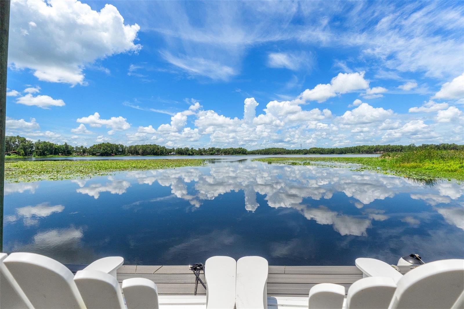 Photo of 5035 CONNER DRIVE LAND O LAKES FL 34639