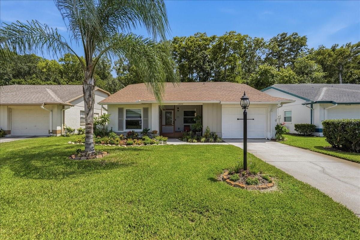 Photo of 11602 WHITE ASH DRIVE NEW PORT RICHEY FL 34654