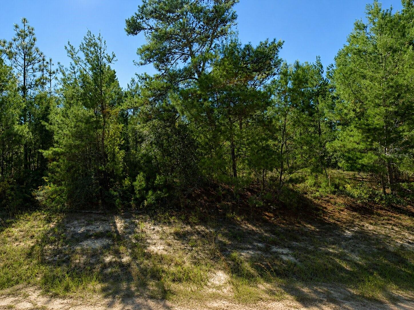 Photo of ALLADIN DRIVE CHIPLEY FL 32428