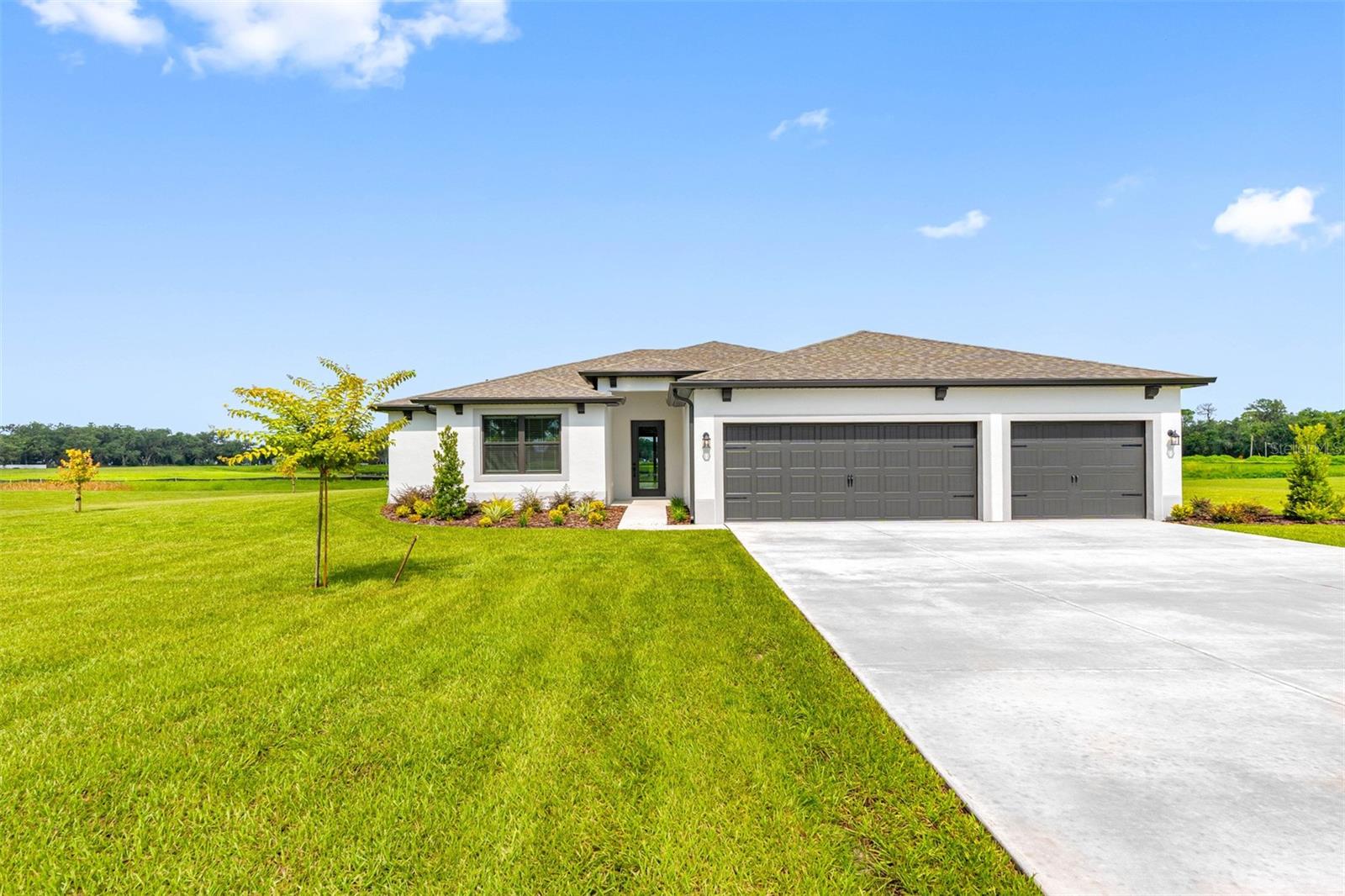 Photo of 13483 LAKE GALLAGHER DRIVE DOVER FL 33527