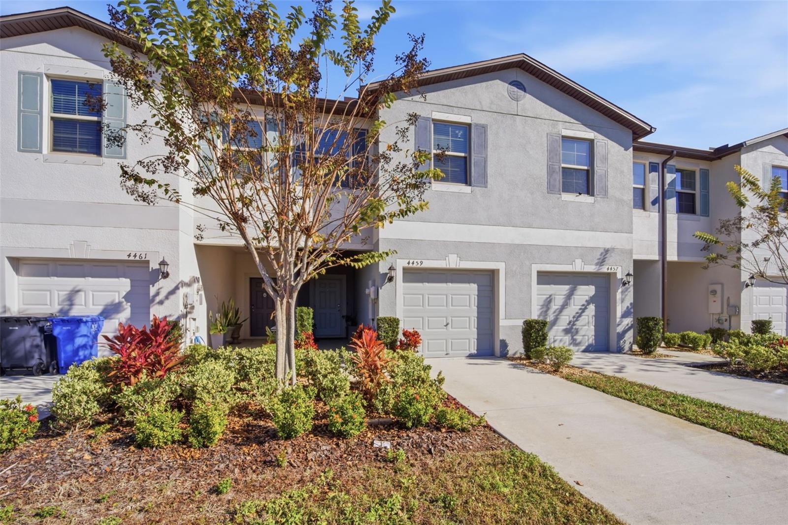 Photo of 4459 GLOBE THISTLE DRIVE TAMPA FL 33619