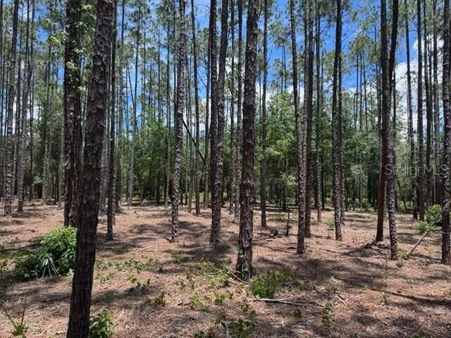 Photo of 18517 LIVINGSTON AVENUE LUTZ FL 33559