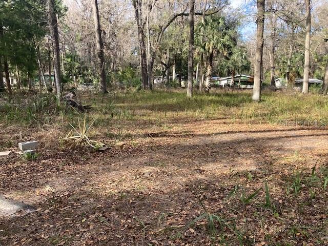 Photo of 2456 N JUNGLE CAMP ROAD #1 INVERNESS FL 34453