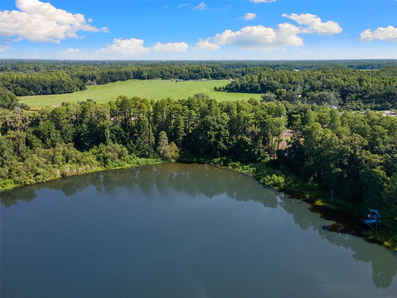 Photo of 18117 BOY SCOUT ROAD ODESSA FL 33556