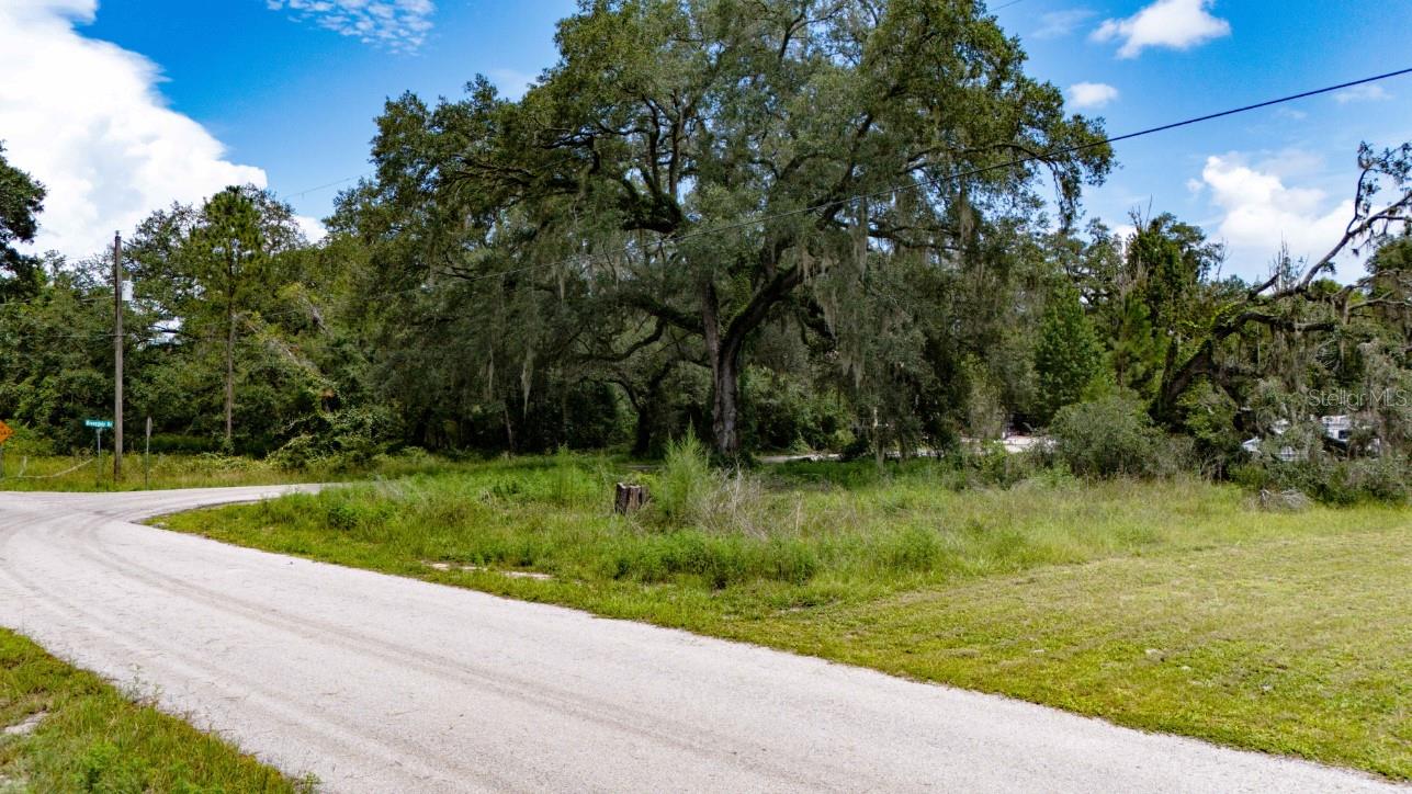 Photo of 0 RIDERWOOD DRIVE DADE CITY FL 33523