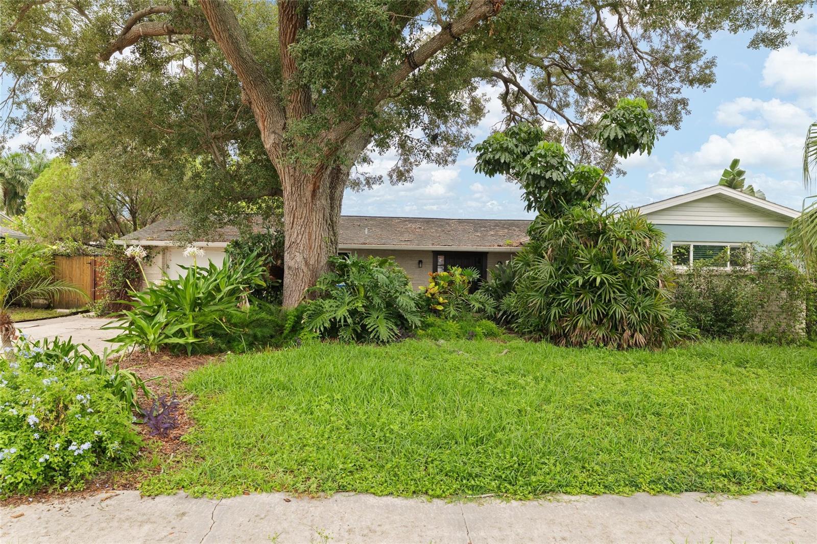 Photo of 8404 FLAGSTONE DRIVE TAMPA FL 33615