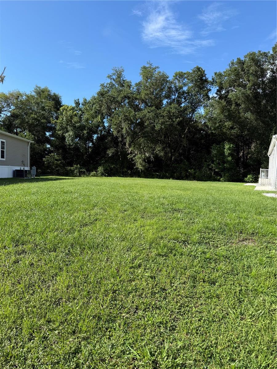 Photo of MONET DRIVE ZEPHYRHILLS FL 33540
