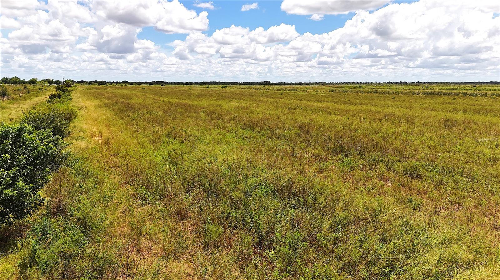 Photo of 5595 1ST ROAD LABELLE FL 33935