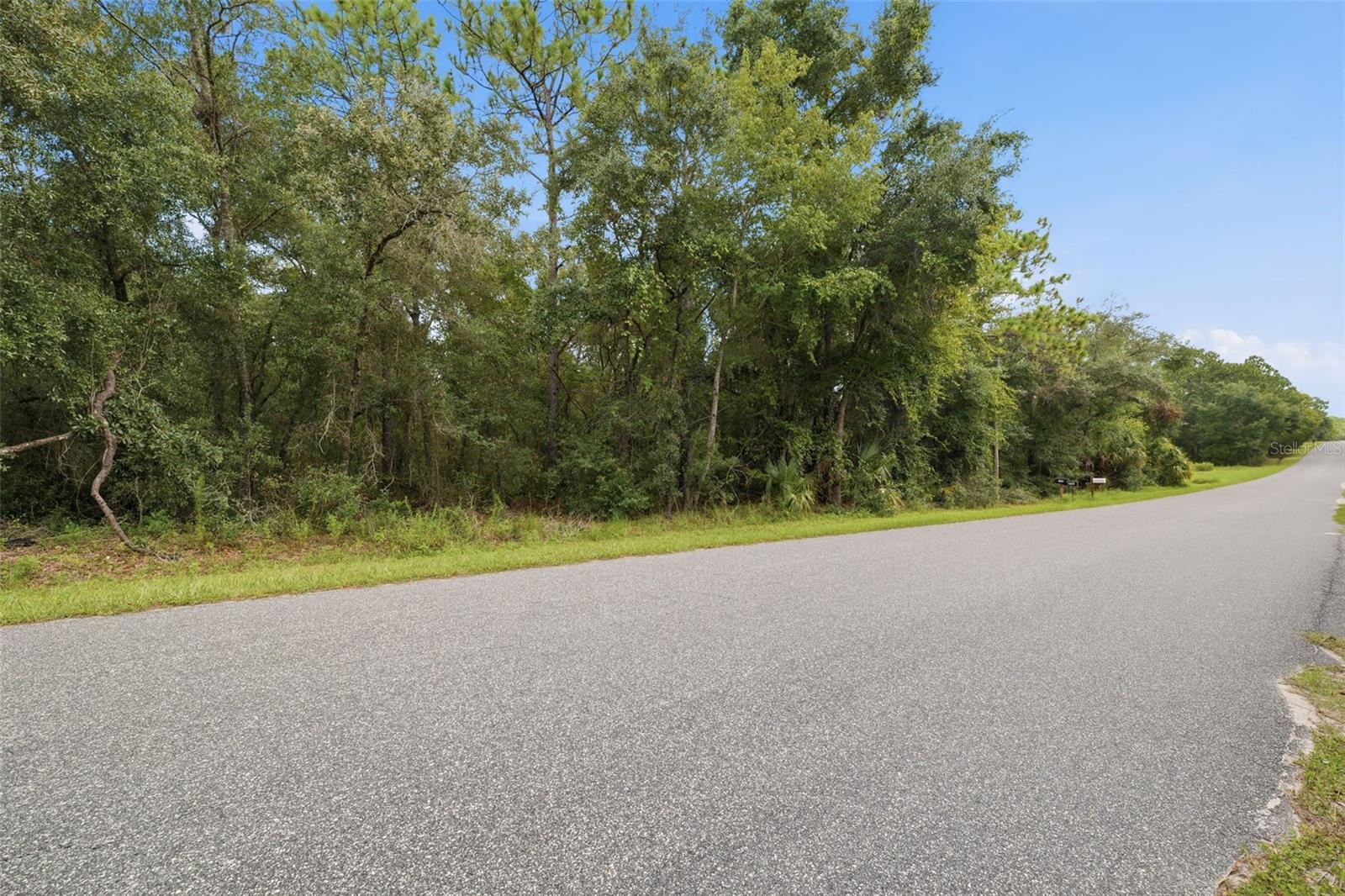 Photo of 1295 E RAY STREET HERNANDO FL 34442