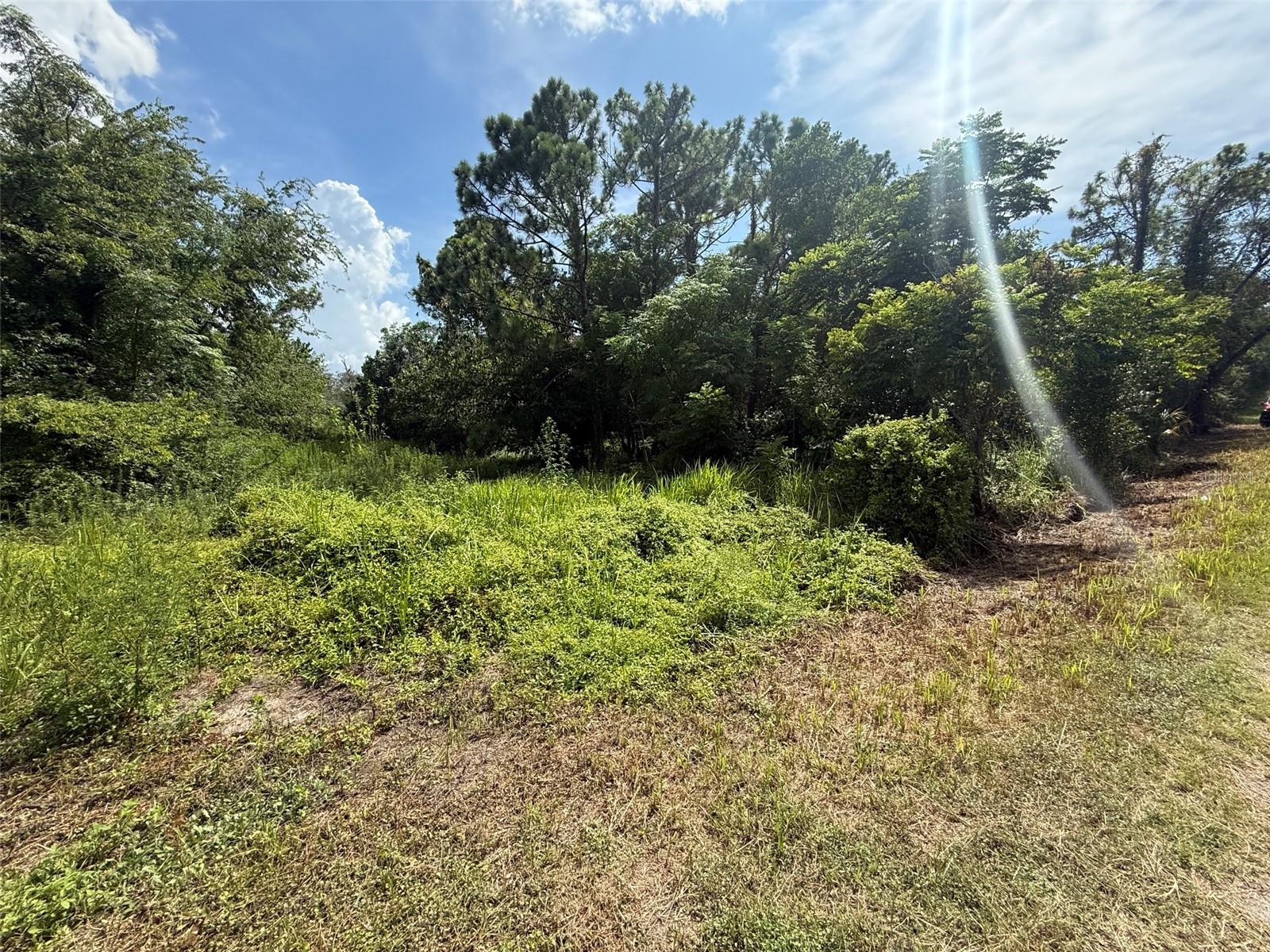 Photo of STAR ROAD BROOKSVILLE FL 34613