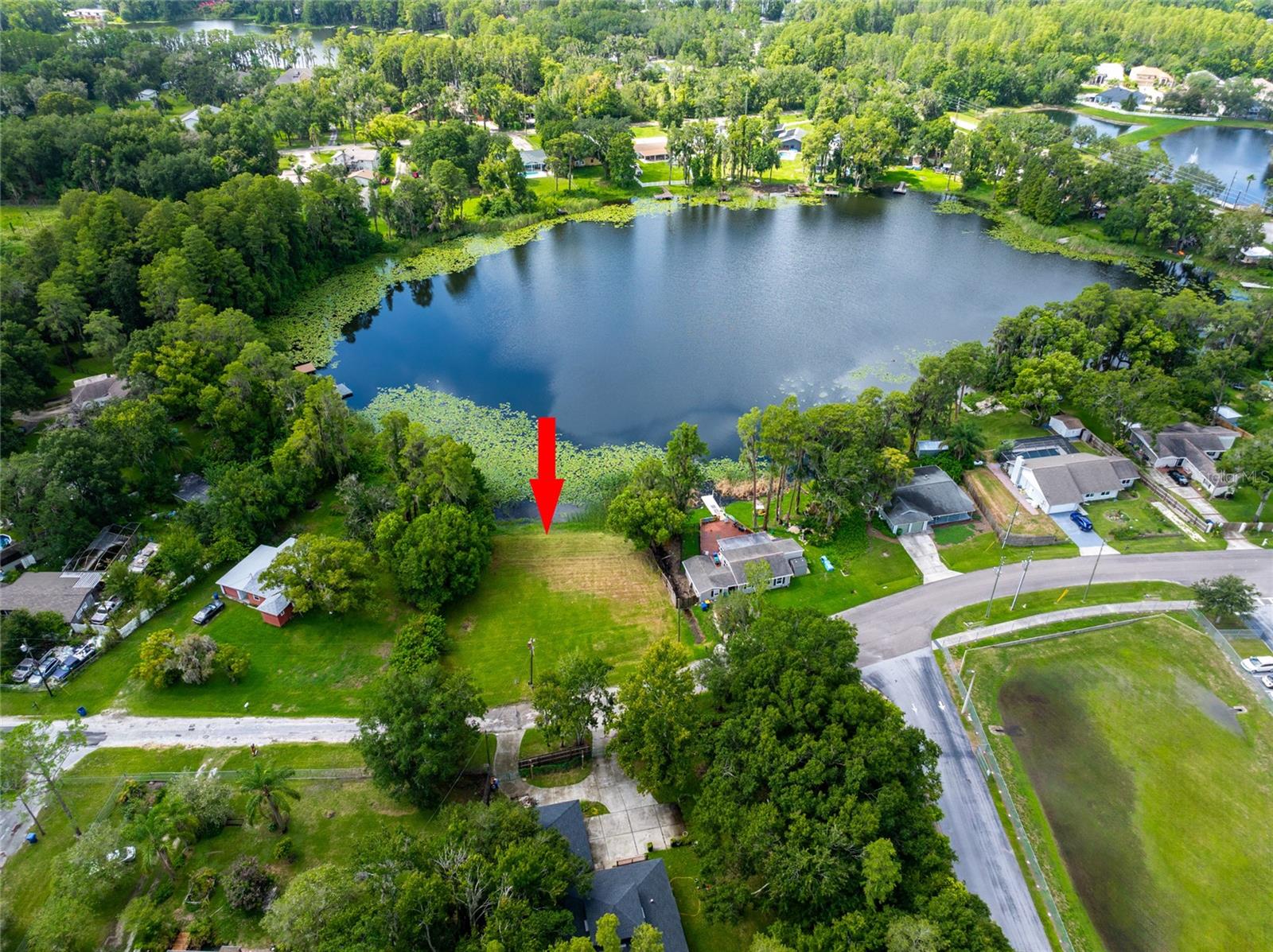 Photo of 21414 LAKE SHARON DRIVE LAND O LAKES FL 34638