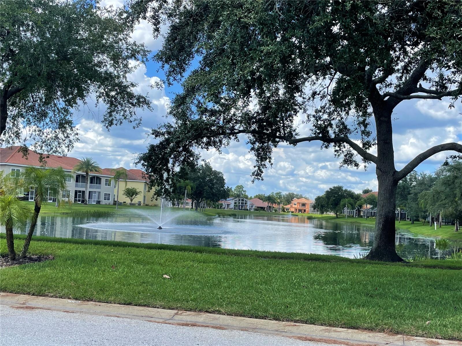 Photo of 21127 SAN PABLO DRIVE LAND O LAKES FL 34637