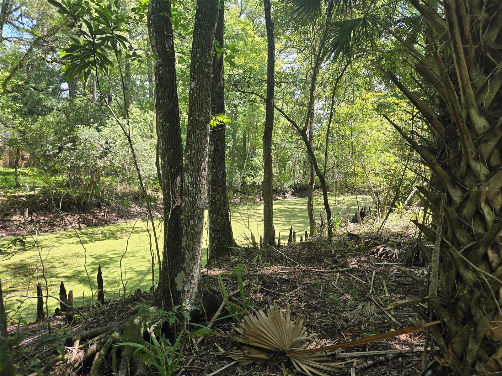 Photo of 7521 S CLAY TERRACE FLORAL CITY FL 34436
