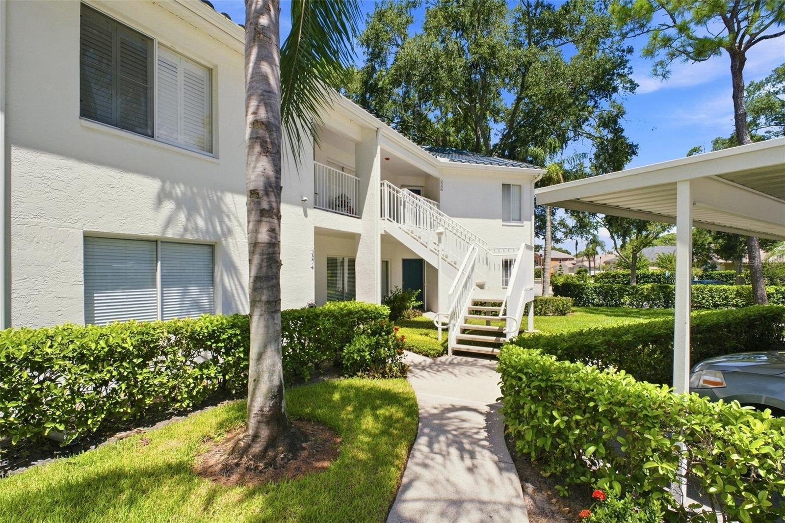 Photo of 3588 INDIGO POND DRIVE #12 PALM HARBOR FL 34685