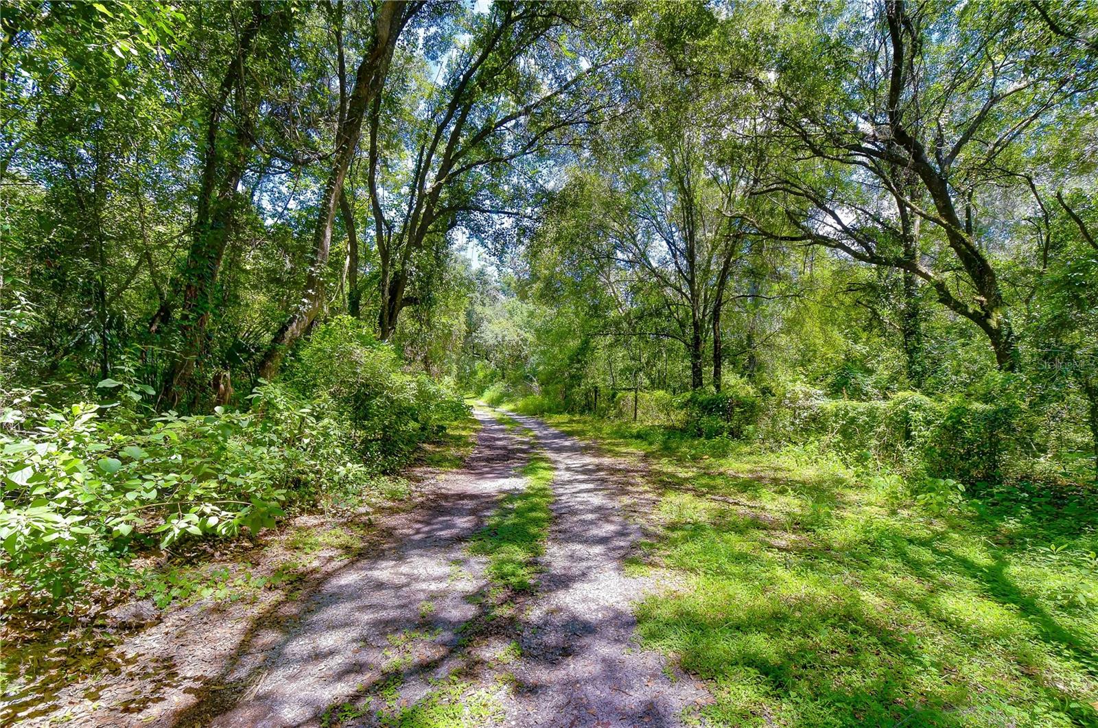 Photo of 3801 PATE ROAD ZEPHYRHILLS FL 33541
