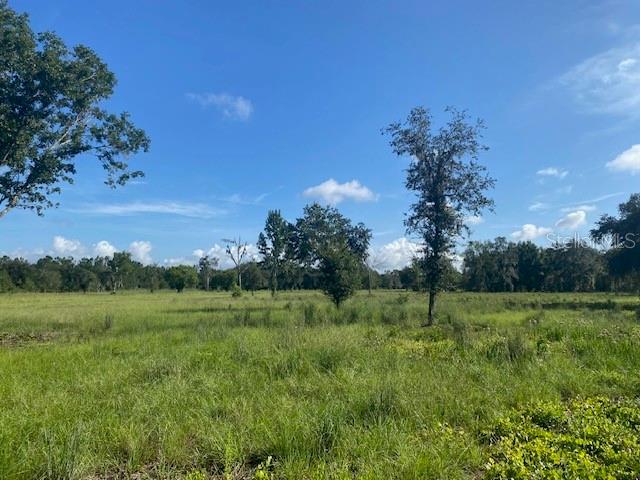 Photo of 5840 BOB SMITH AVENUE PLANT CITY FL 33565