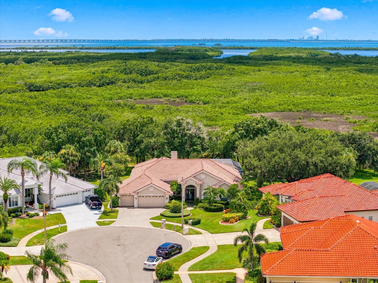 Photo of 9802 MAKO COURT TAMPA FL 33615