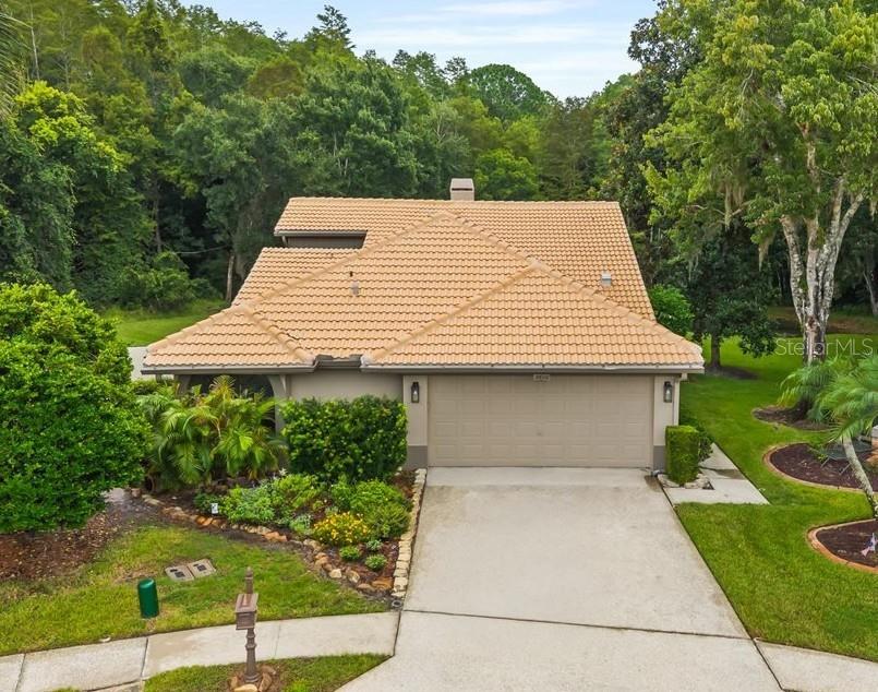 Photo of 3600 DARSTON STREET PALM HARBOR FL 34685
