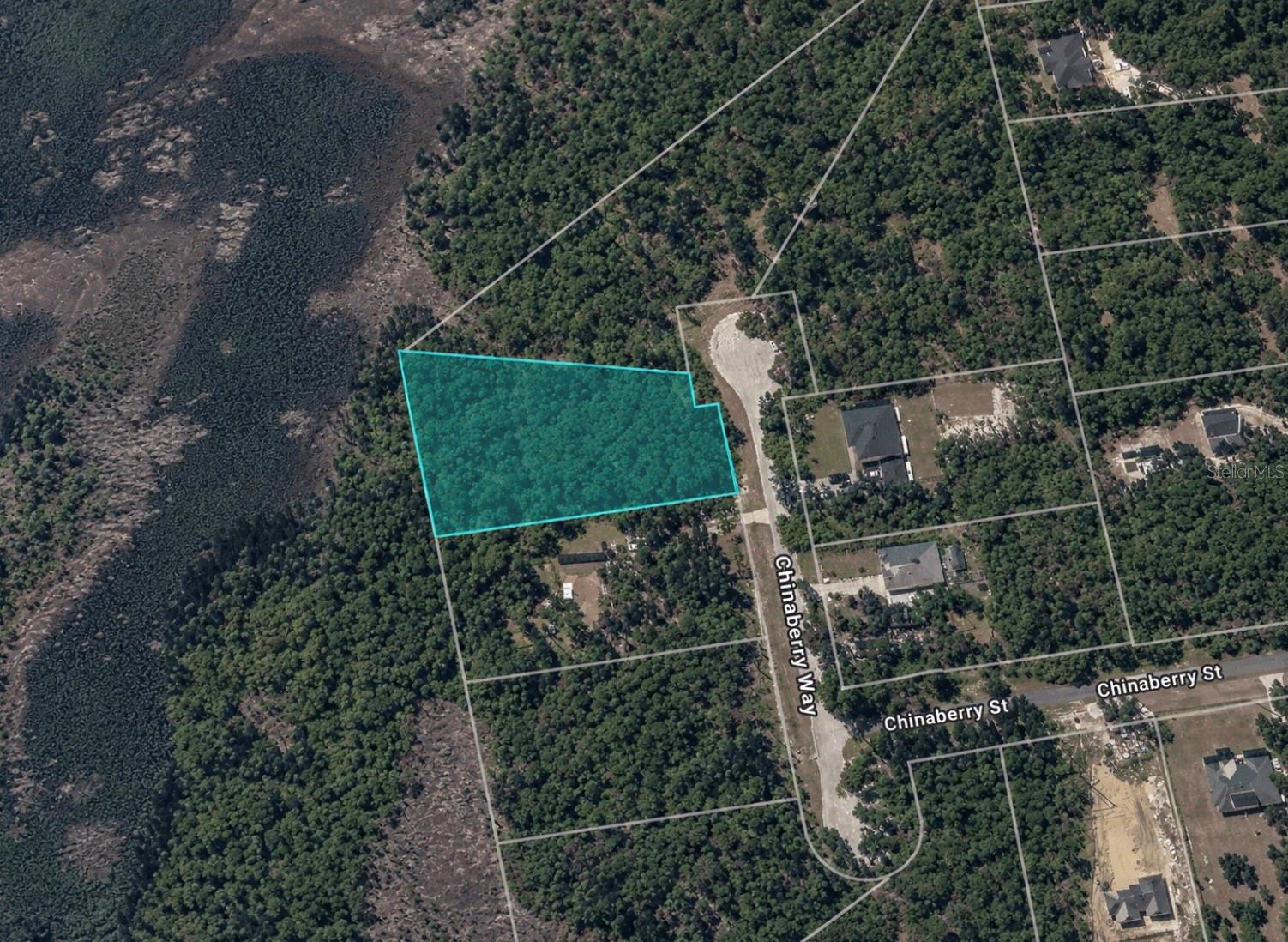 Photo of CHINABERRY WAY EUSTIS FL 32736