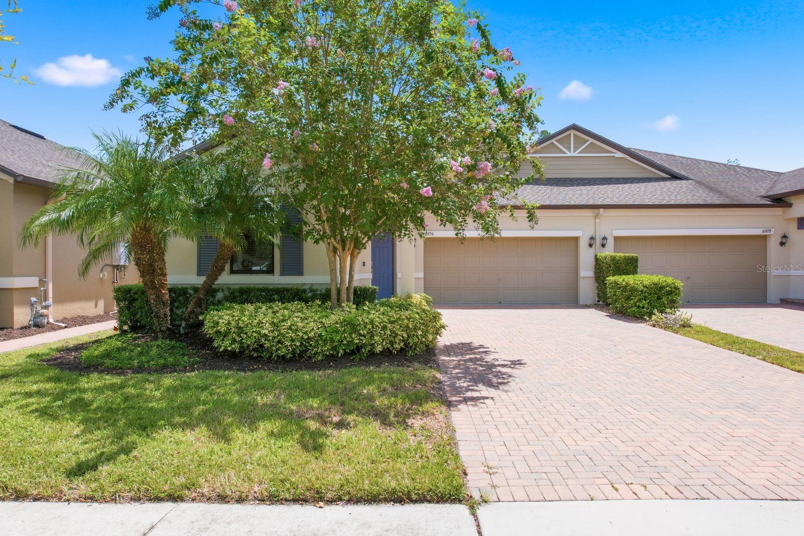 Photo of 16936 BALANCE COVE LAND O LAKES FL 34638