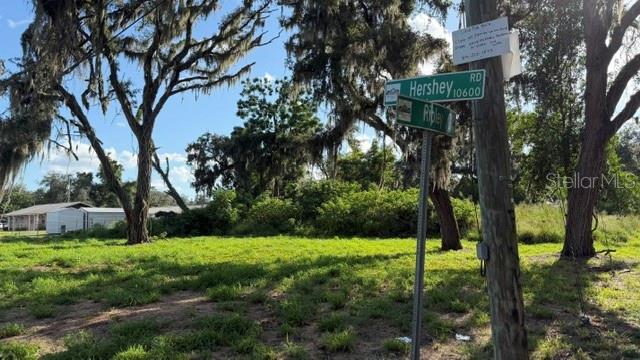 Photo of 9323 RIPLEY ROAD #B THONOTOSASSA FL 33592