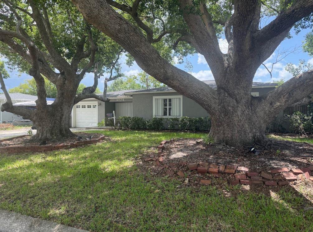 Photo of 3776 23RD AVENUE ST PETERSBURG FL 33713