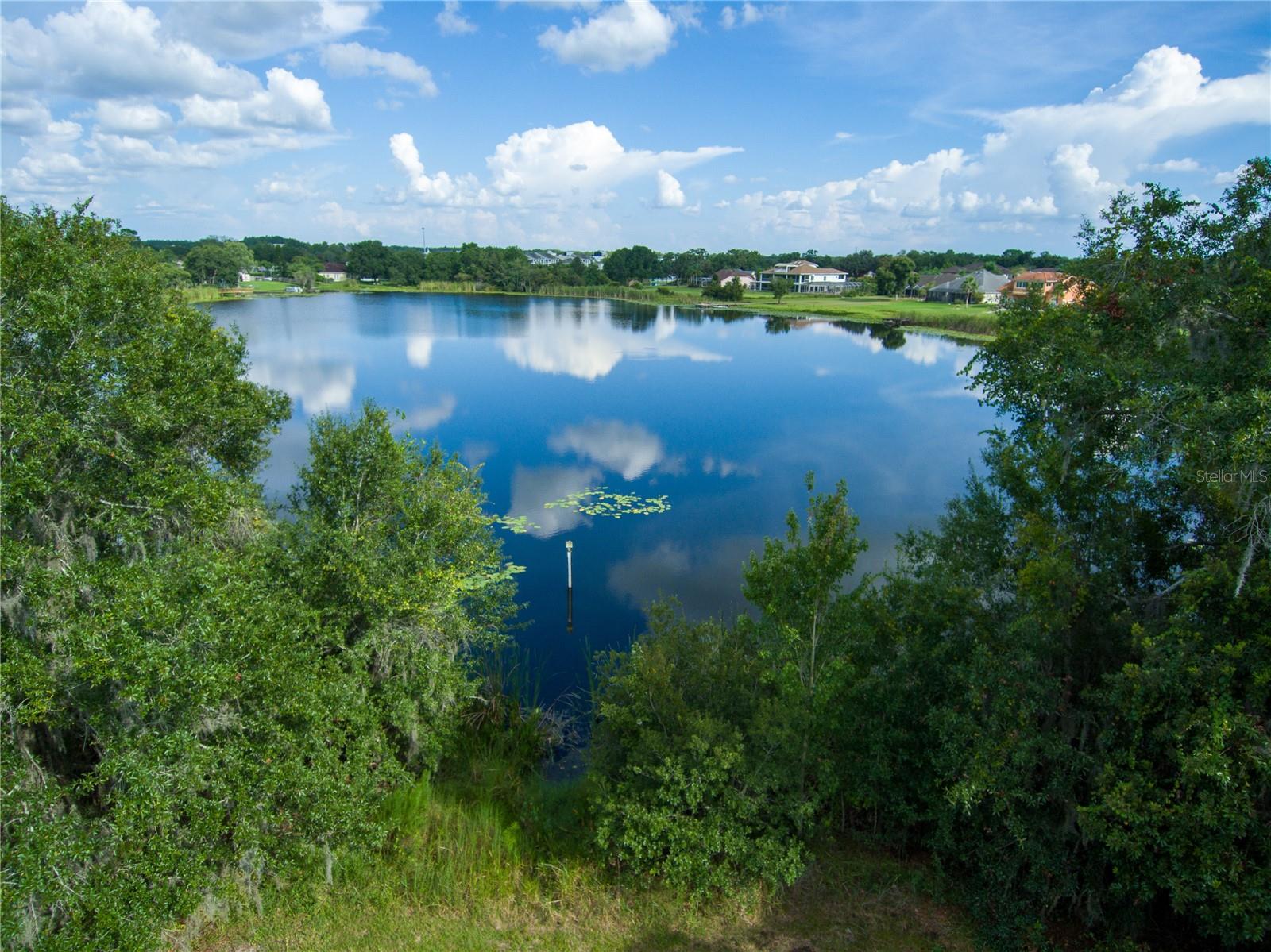 Photo of CARSON DRIVE LAND O LAKES FL 34639