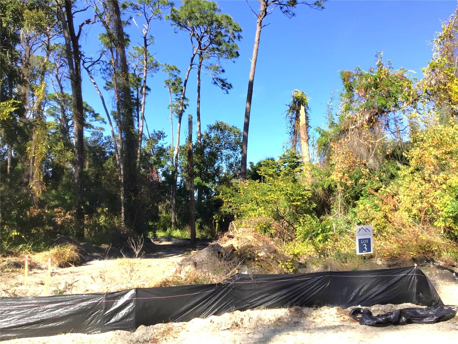 Photo of 1299 ALMARIA COURT PALM HARBOR FL 34683